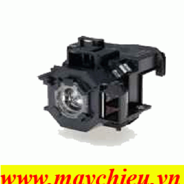 Bóng đèn máy chiếu BENQ MS502
